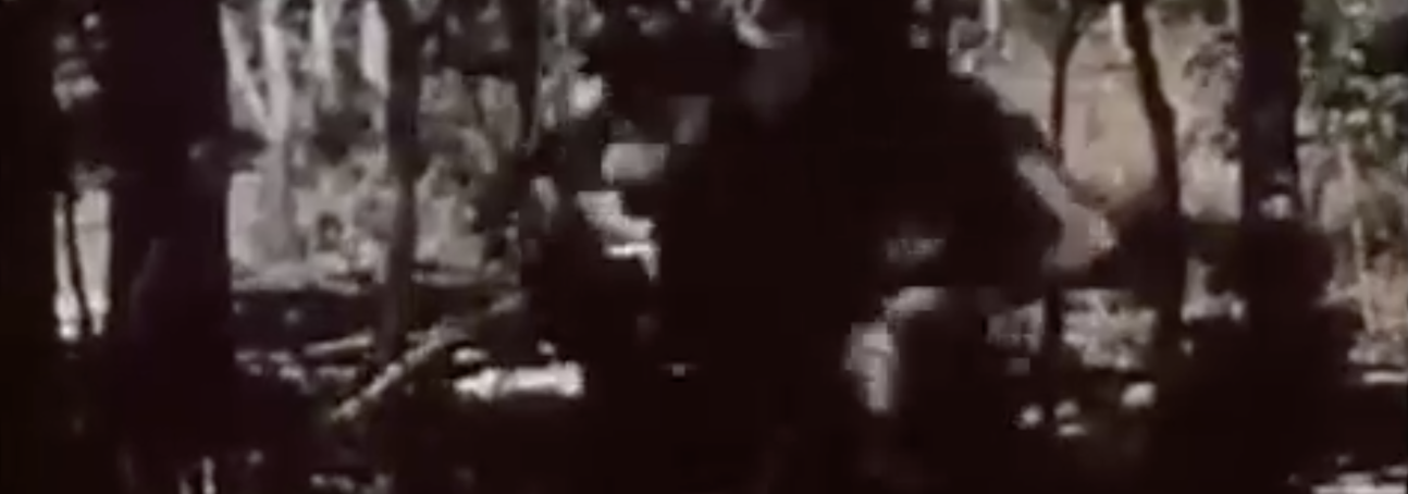 Footage of the War of Liberation in Zimbabwe