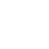 Globe icon
