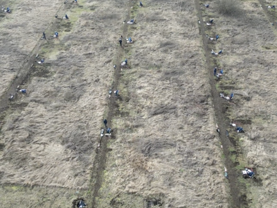 Aerial image showing three lanes in a field where HALO Trust deminers are clearing landmines