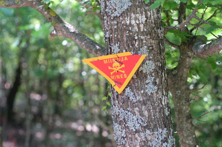A tree in a wood in Kosovo with a danger of mines sign attached to it