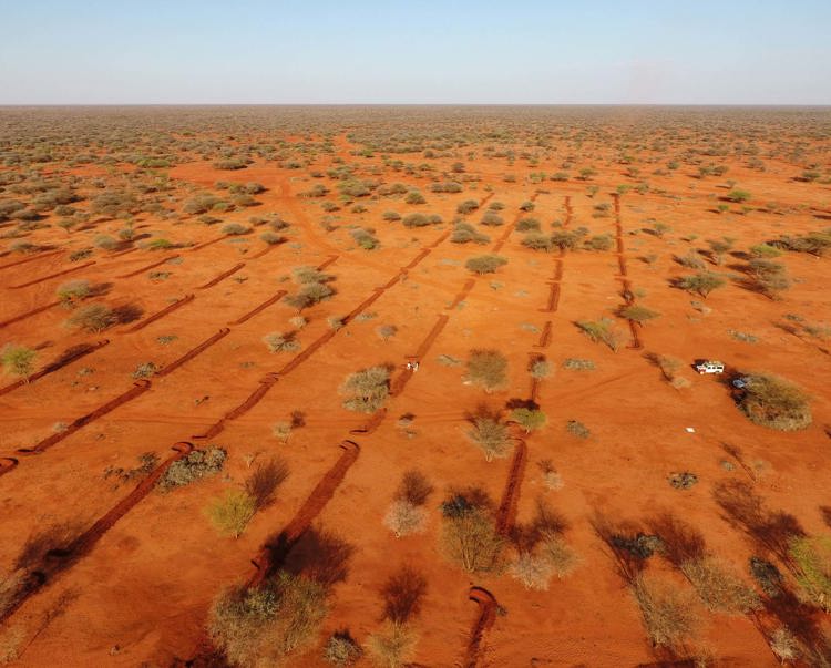 A large stretch of desolate land with bits of vegetation and red soil